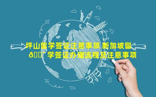 坪山留学签证注意事项 新加坡留 🐯 学签证办理流程及注意事项